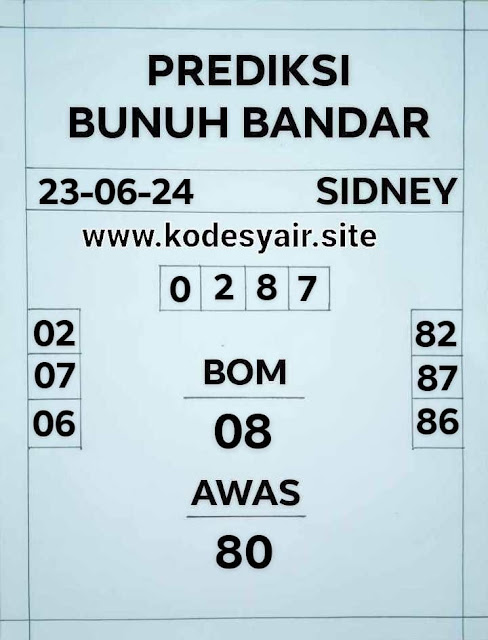 SYAIR SDY VIP